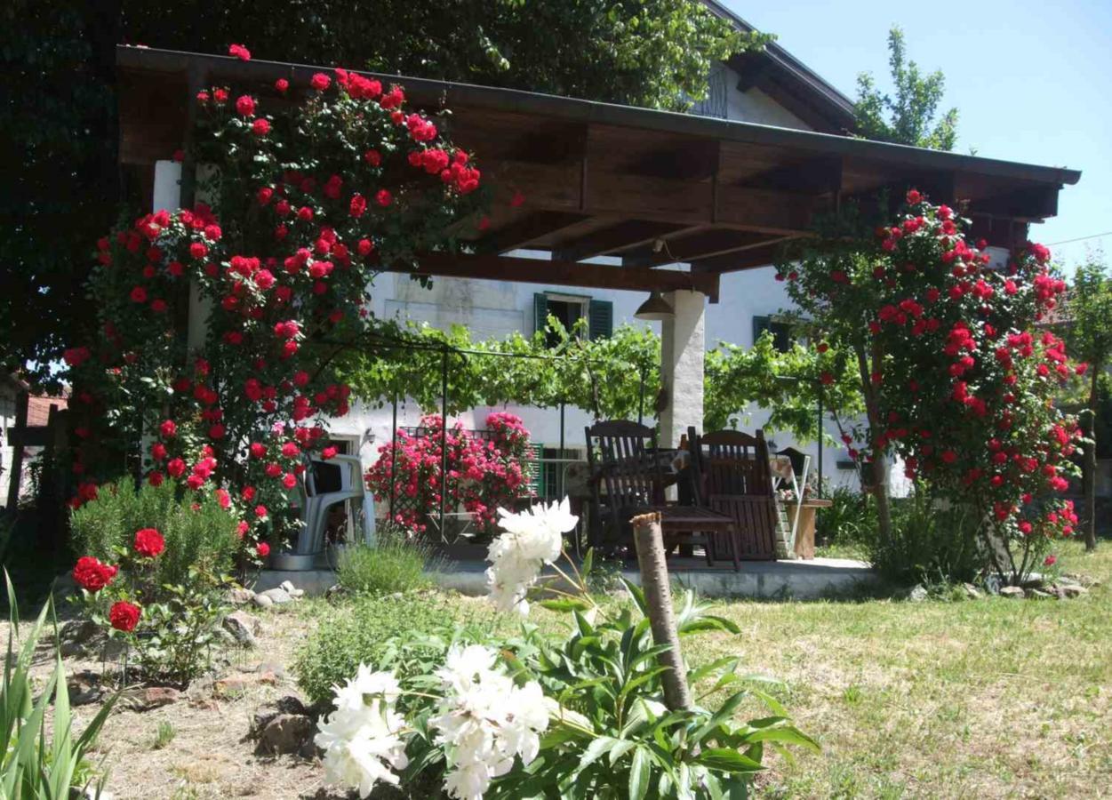 Casa Di Alfredo B&B - Citr9039Mioglia エクステリア 写真